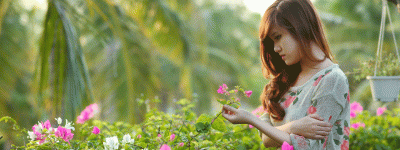 তুমি ঝরাপাতা নও